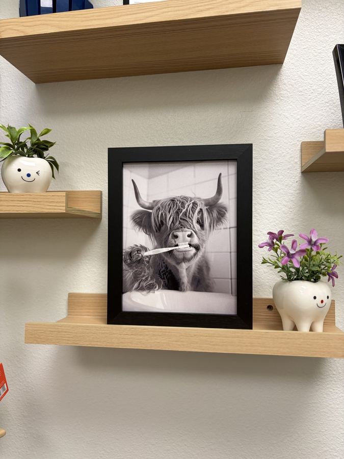 Framed highland cow photo on a shelf, flanked by ceramic tooth planters, in the On Demand Dental office